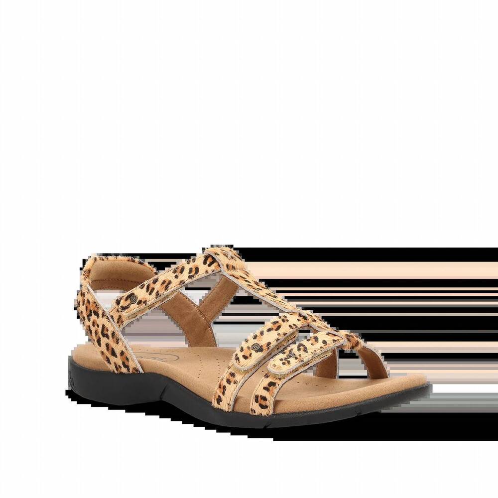 NEW TAOS women's trophy 2 sandal in cheetah pony